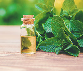 Peppermint Essential Oil